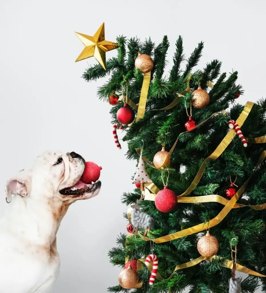 Hond kerst feestdagen